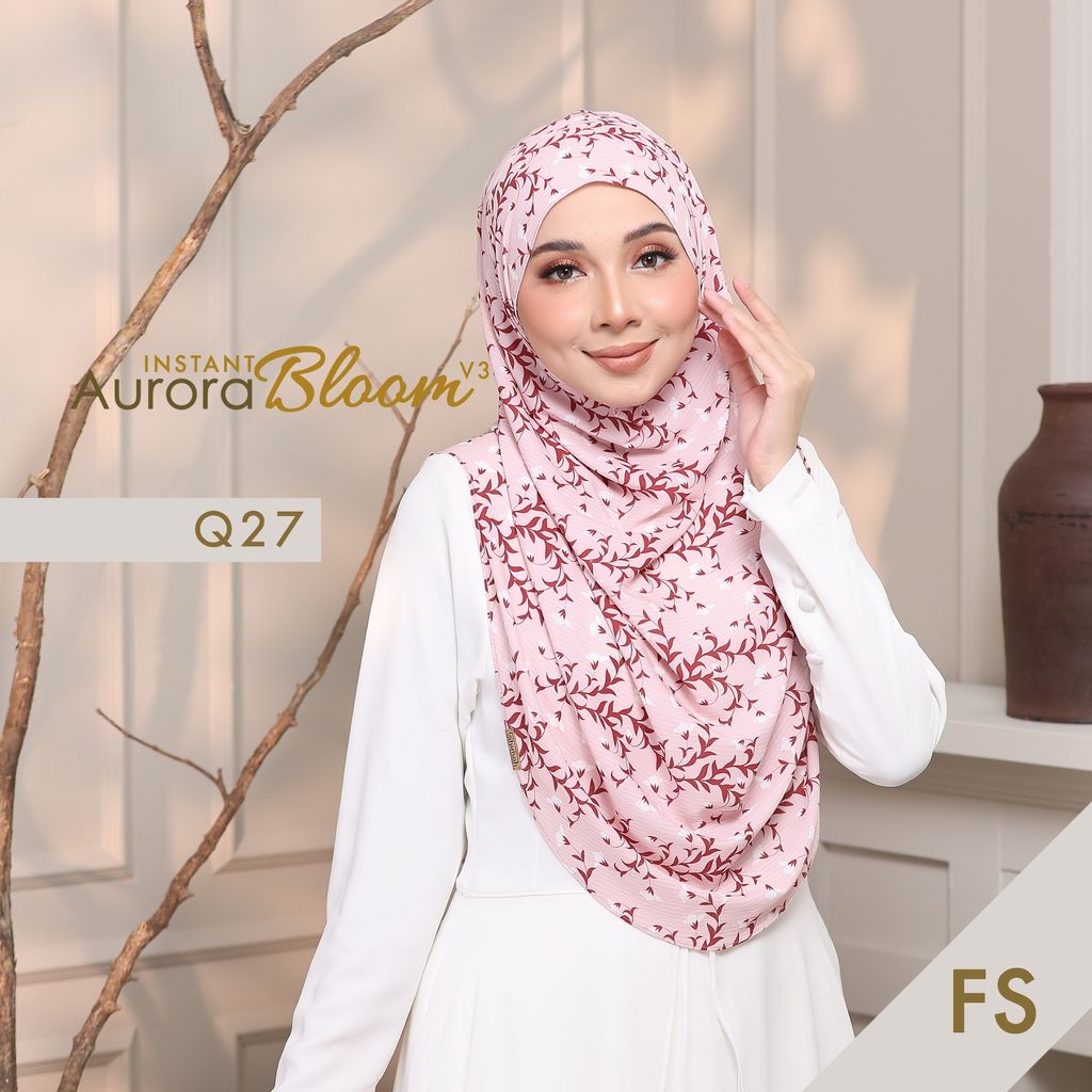 Q27 FS