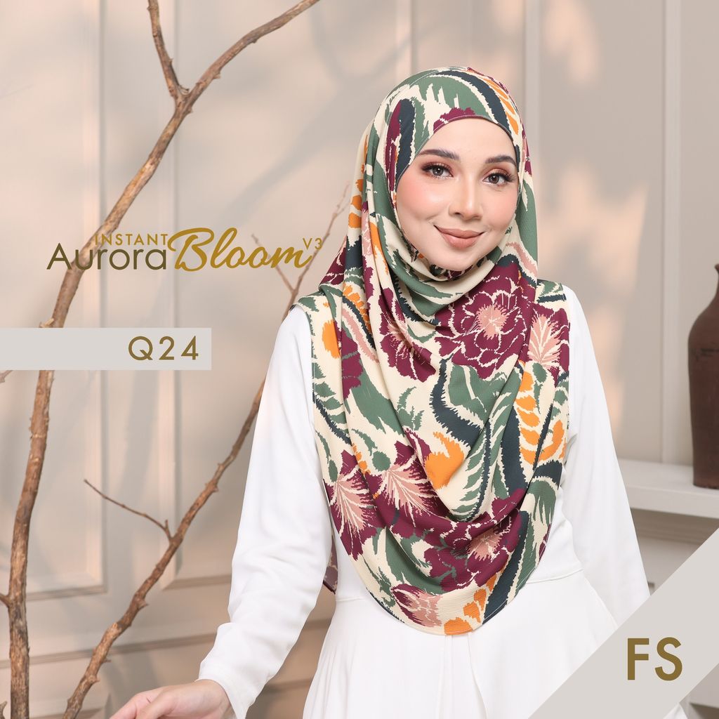 Q24 FS