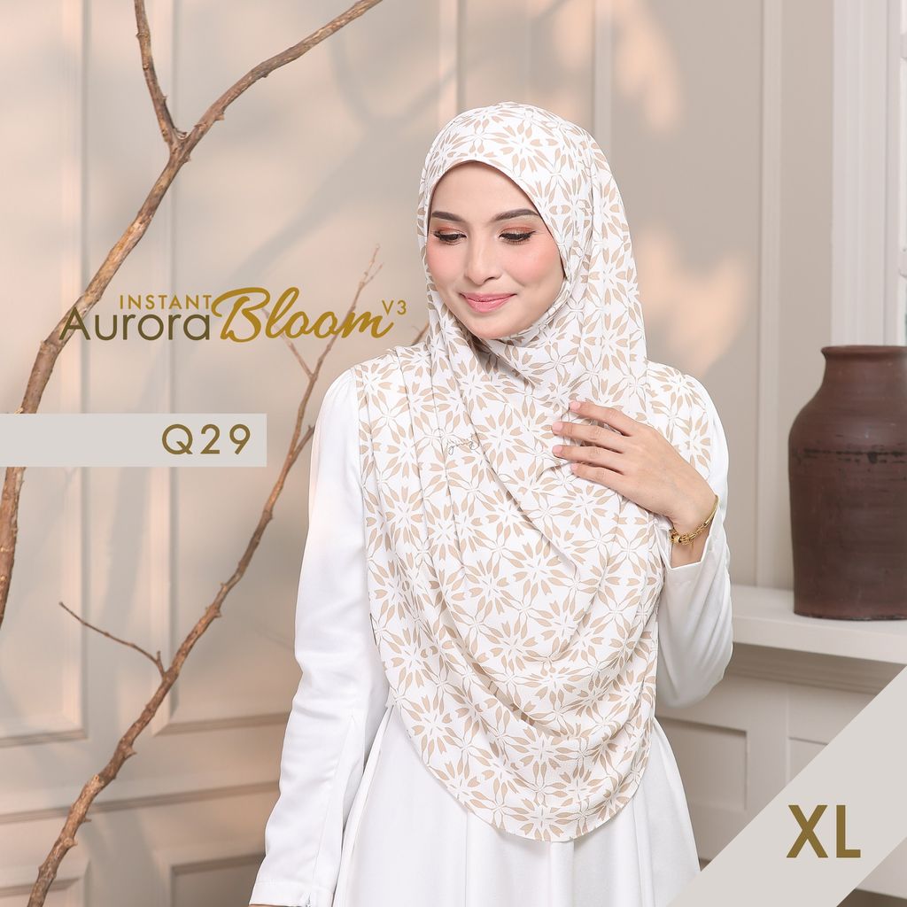 Q29 XL