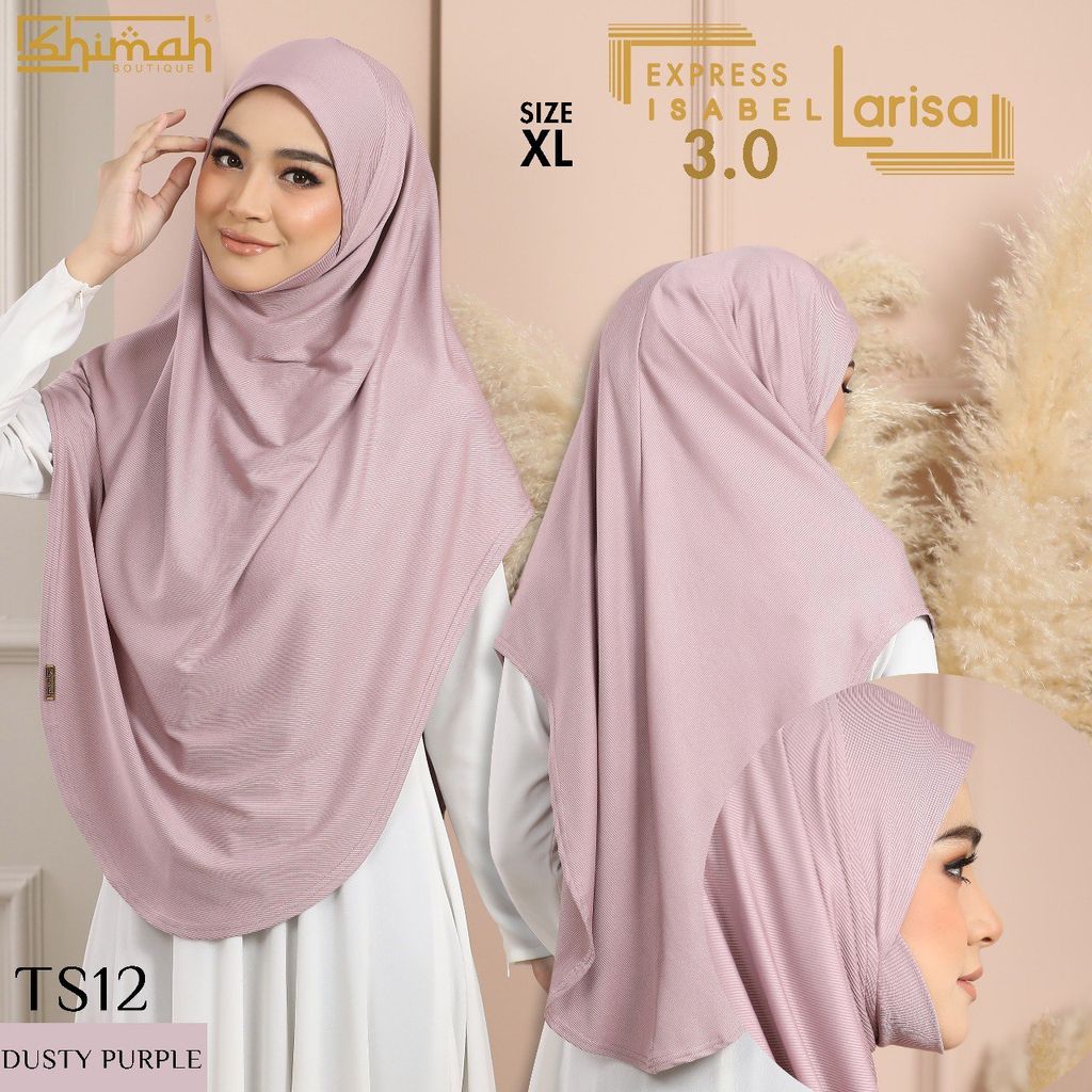 TS12 XL