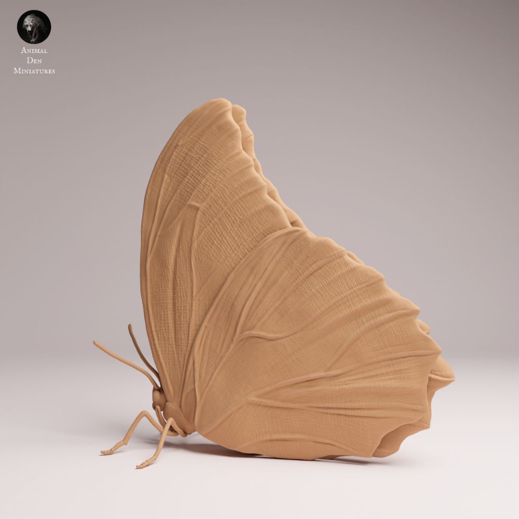 tw-11134207-81ztf-mjr4k9b7jnd3c7