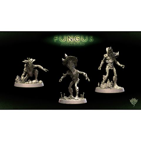 tw-11134207-7qul7-lkfk1g6j1d1475