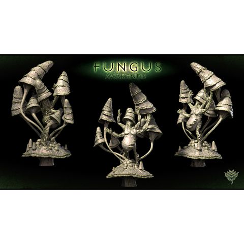 tw-11134207-7qul9-lkfk1g6isxmgc9