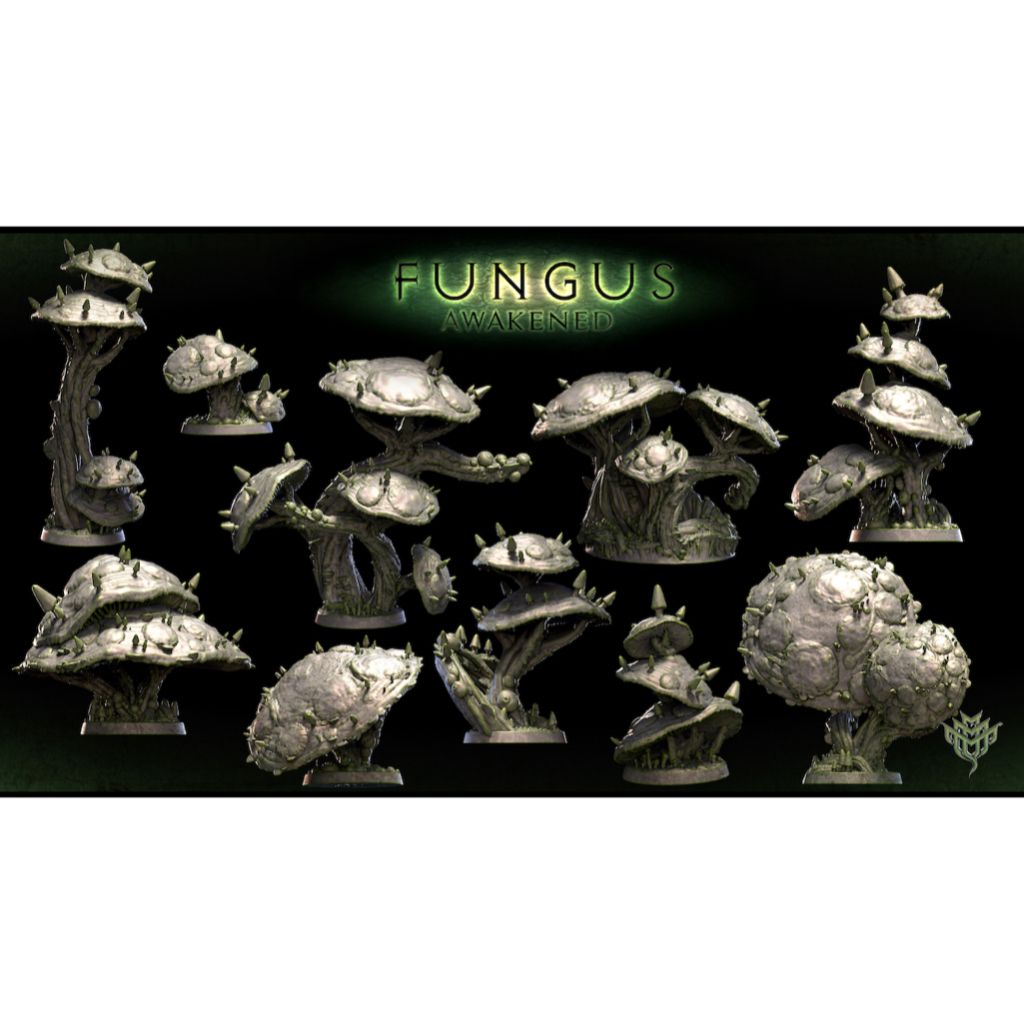 tw-11134207-7qukz-lkfk1g6ix5bsfa