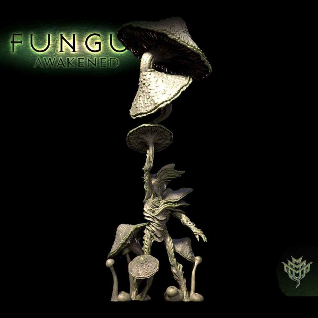 tw-11134207-7qul1-lkfjsx0qrj20b4