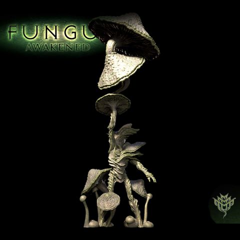 tw-11134207-7qul1-lkfjsx0qrj20b4