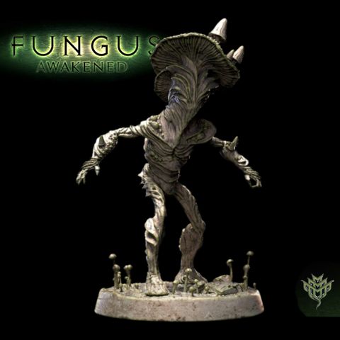 tw-11134207-7qula-lkfk672qoi0od7