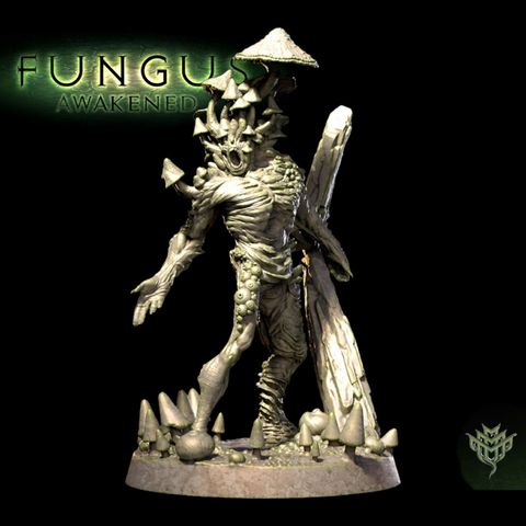 tw-11134207-7qul4-lkfjob8h4xfc53