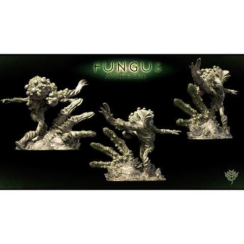 tw-11134207-7qukz-lkfk672qzqk895