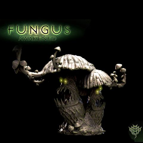 tw-11134207-7quky-lkhzxkg9yjkm99