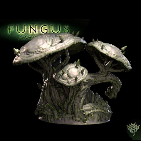 tw-11134207-7qukx-lki6c6uoliyg51