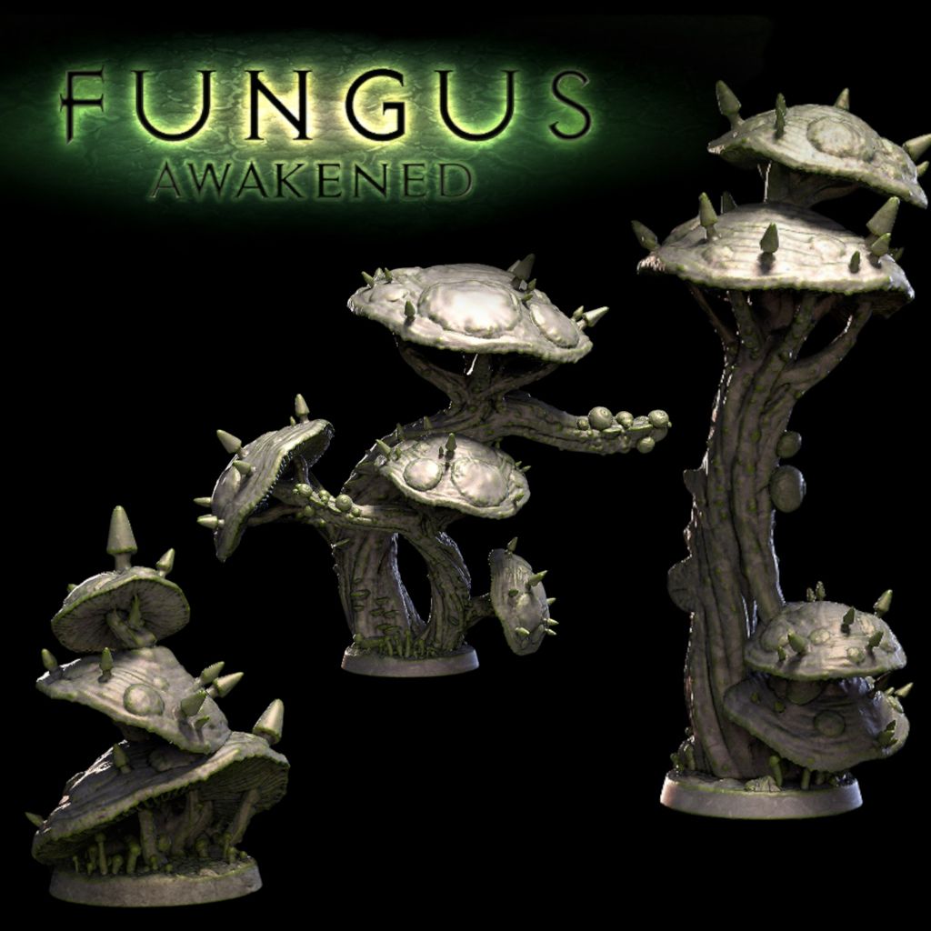 tw-11134207-7qukz-lki6f98stfo6f1