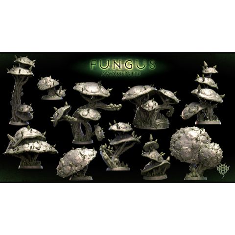 tw-11134207-7quky-lki6f98suu8mfb