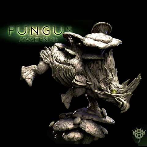 tw-11134207-7qula-lki4xos4rt7a55