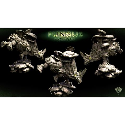 tw-11134207-7qul9-lki4xos4t7rq3d