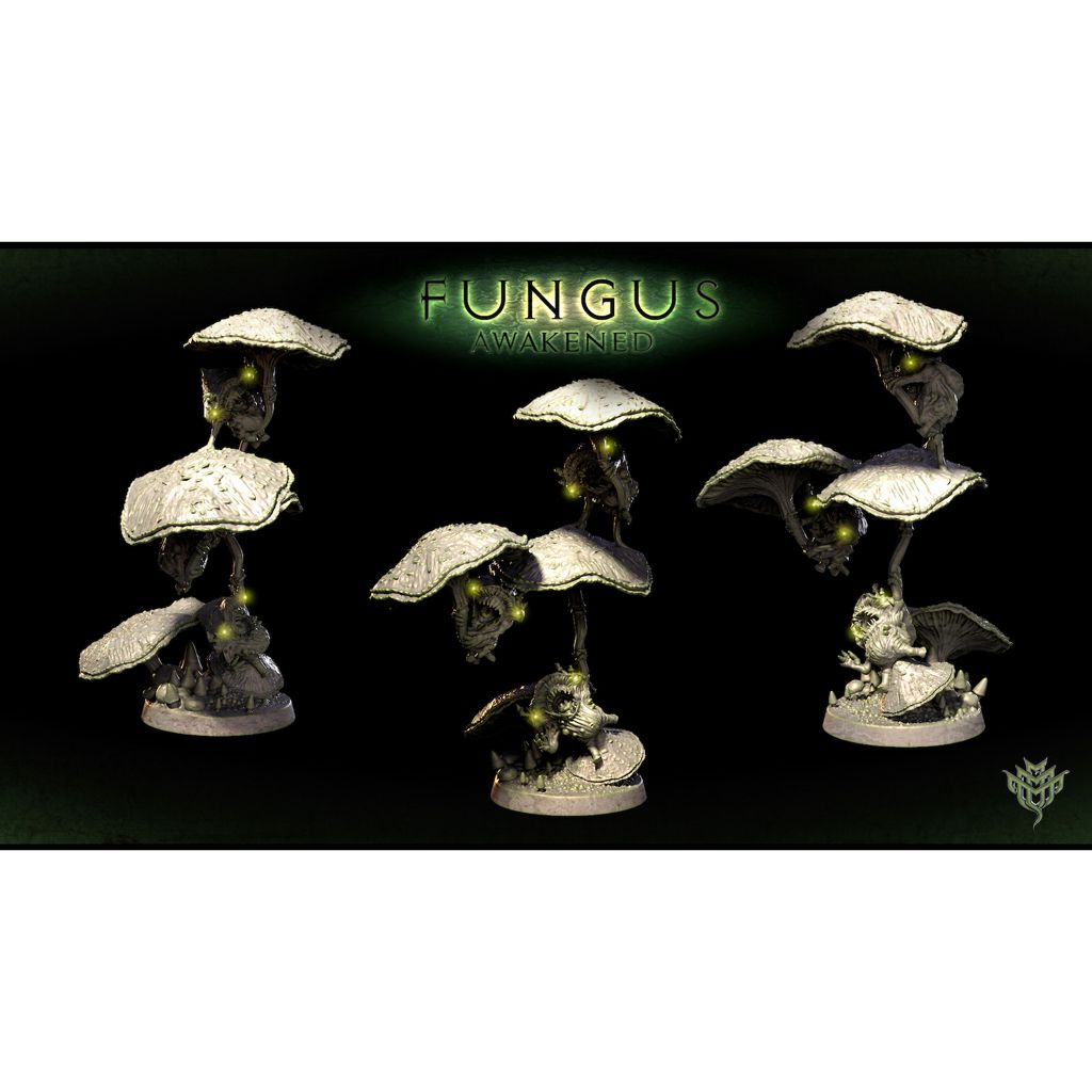 tw-11134207-7qul2-lki5bmgkqrsoa1