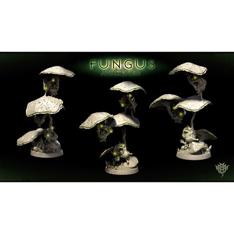 tw-11134207-7qul2-lki5bmgkqrsoa1