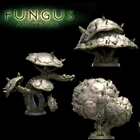 tw-11134207-7qul3-lki5bmgkz77c70