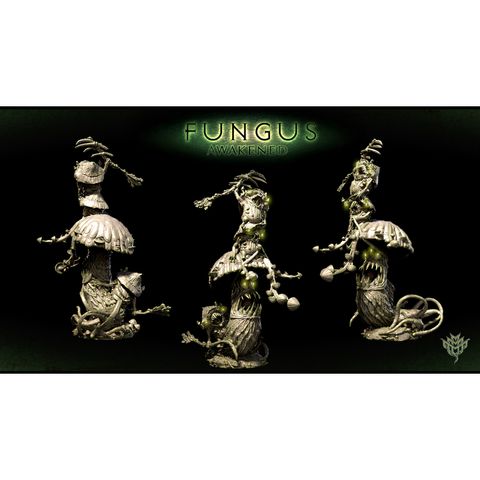 tw-11134207-7quky-lkhzxkg07e48ae