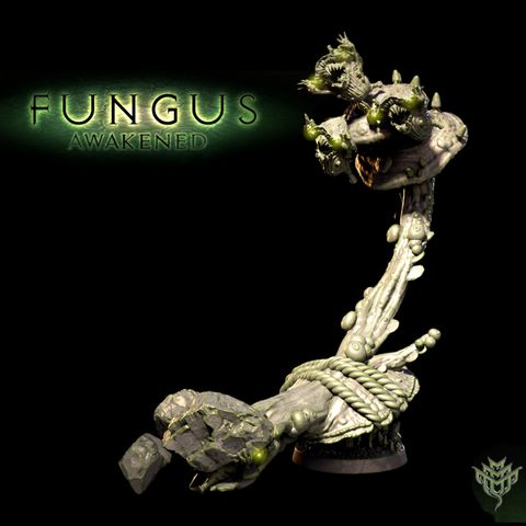 tw-11134207-7qul9-lki52j9xp0e07e