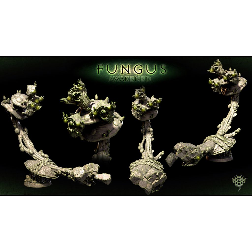 tw-11134207-7qukx-lki52j9xqeyge2