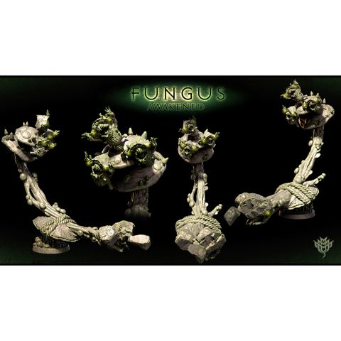 tw-11134207-7qukx-lki52j9xqeyge2