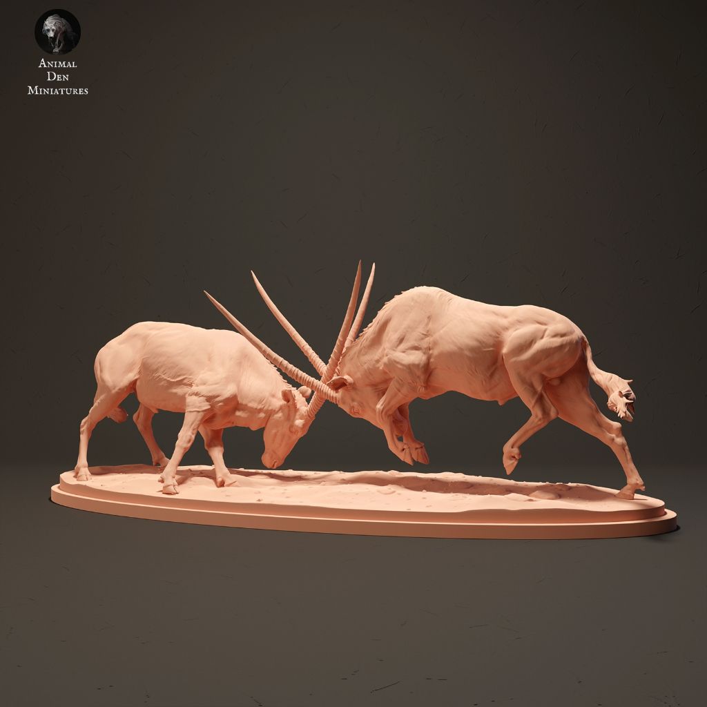 tw-11134207-7r98o-lkt74dzddhpw99