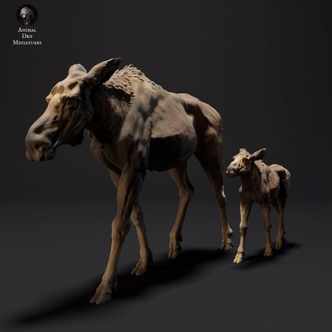 tw-11134207-7r98r-llxivgv6hqcb37