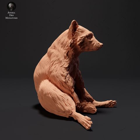 tw-11134207-7r98x-llxivgv6q5qz3e