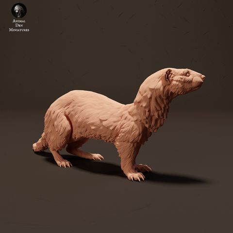 tw-11134207-7r990-loqi5m5mr5vgb5