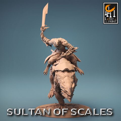 tw-11134207-7r98s-lmudrz5nk8ex12