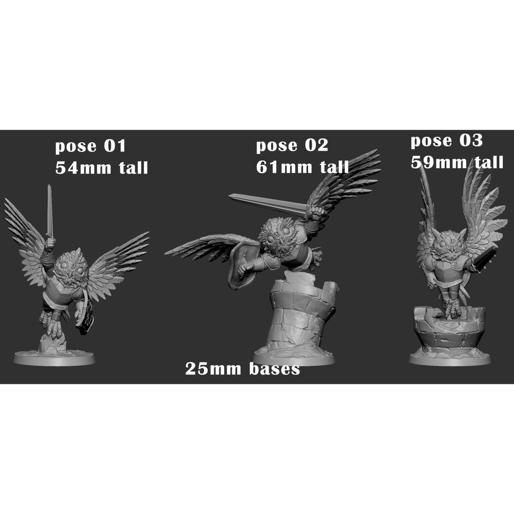 tw-11134207-7r98q-lo6n66asl83m56