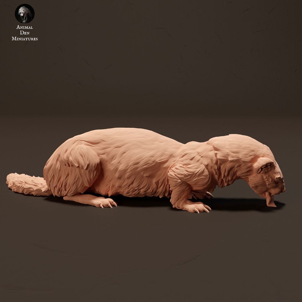 tw-11134207-7r98y-loqi5m5mljlobb