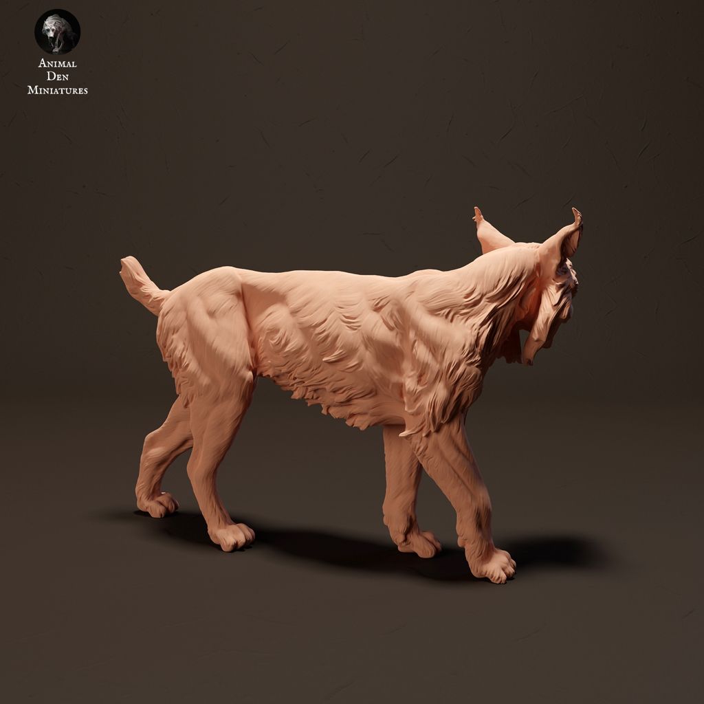 tw-11134207-7r98r-loqi0f809r08f7