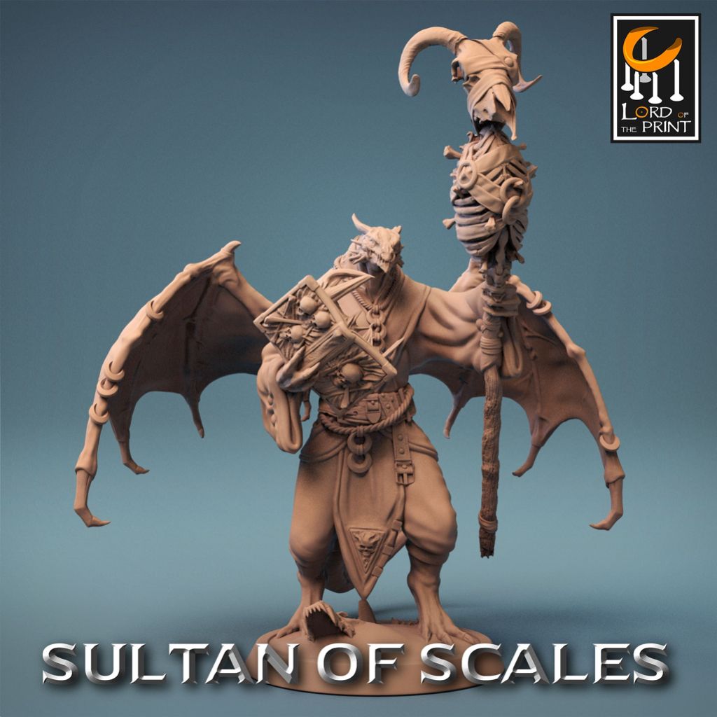 tw-11134207-7r98p-lmuemtia5g2hbb