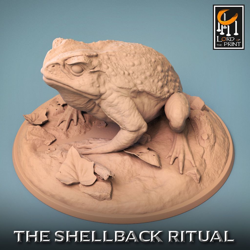 tw-11134207-7r98w-loumh7xzbgu0f6