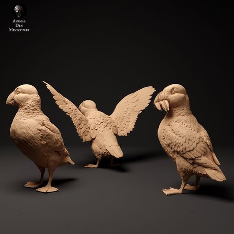 tw-11134207-7r98p-ltl69hfiysmnf7