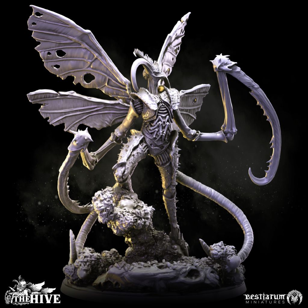 tw-11134207-7r98u-lvfeo9hxjdmh77