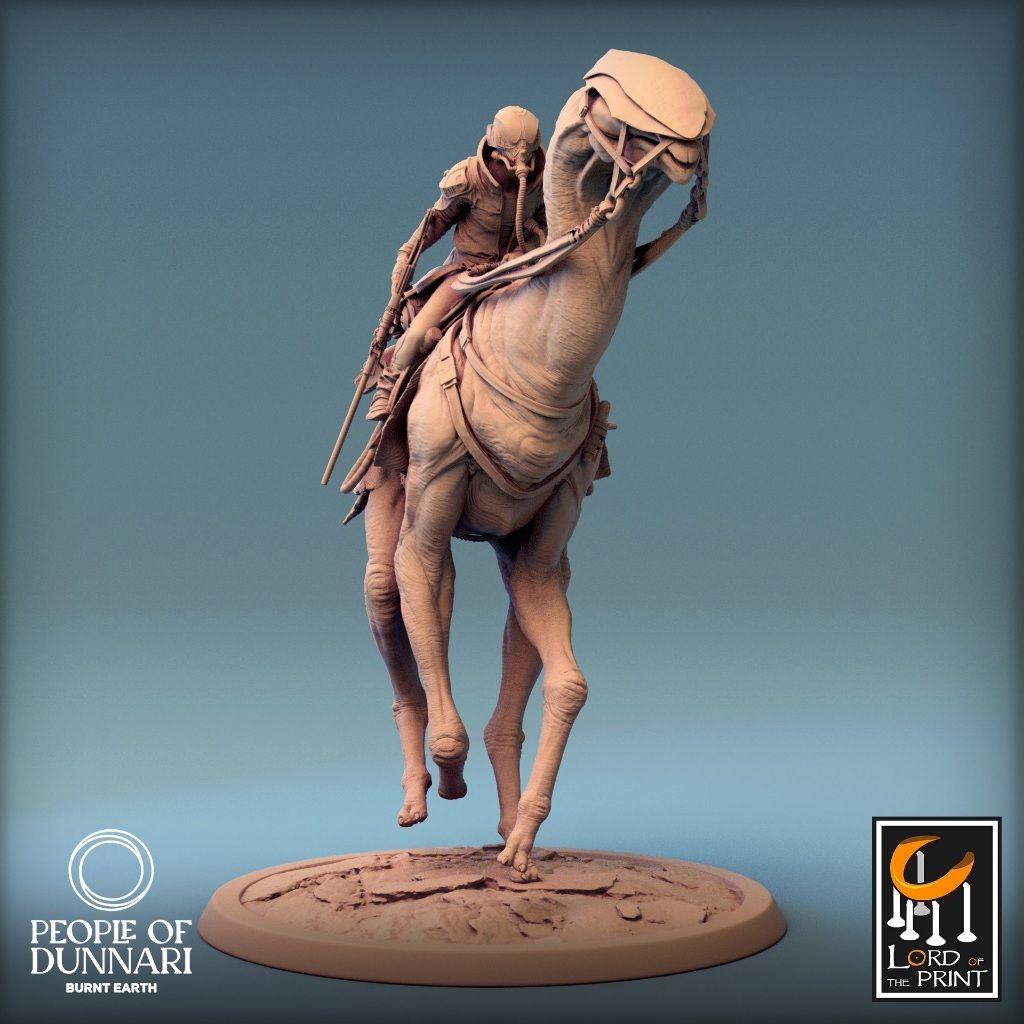 tw-11134207-7r98t-lwi095zpr486c5