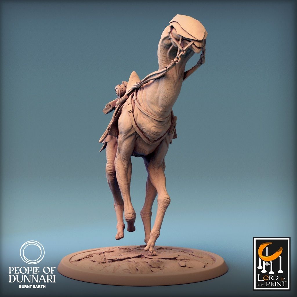 tw-11134207-7r98z-lwhzwwcfxjxs75