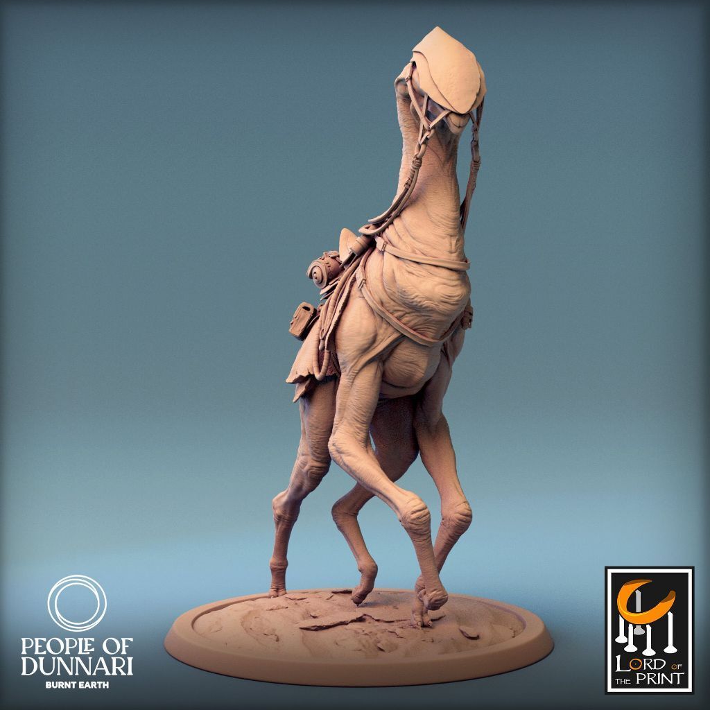 tw-11134207-7r98p-lwi1qyivsldcac