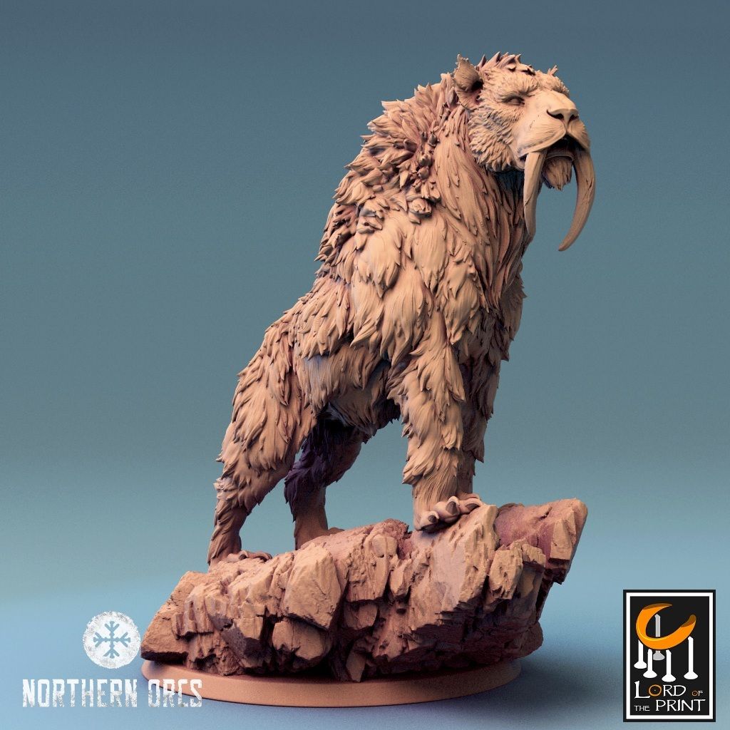 tw-11134207-7r98v-lwnn3zmgtdm836