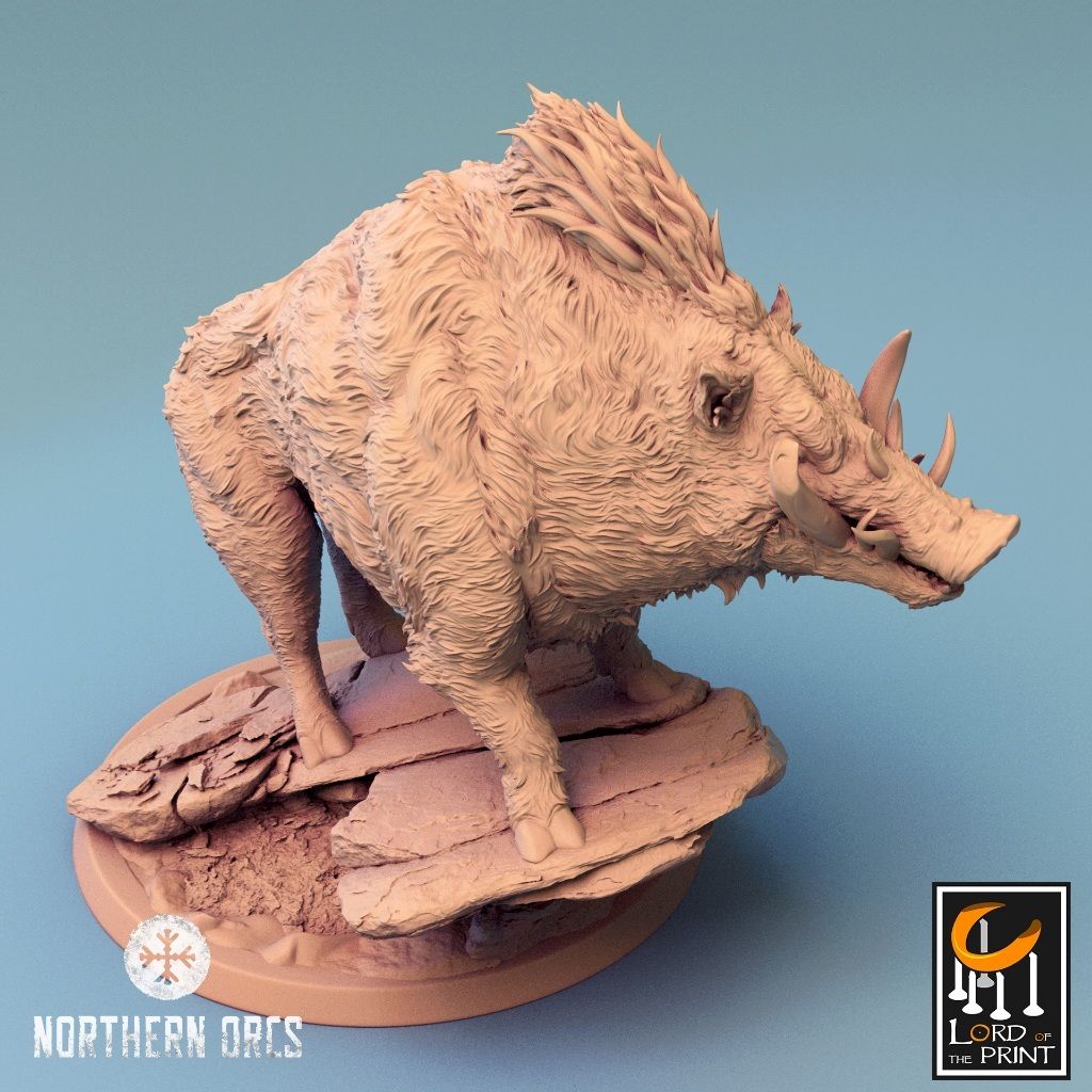 tw-11134207-7r98p-lwnn3zp8uxwmc8