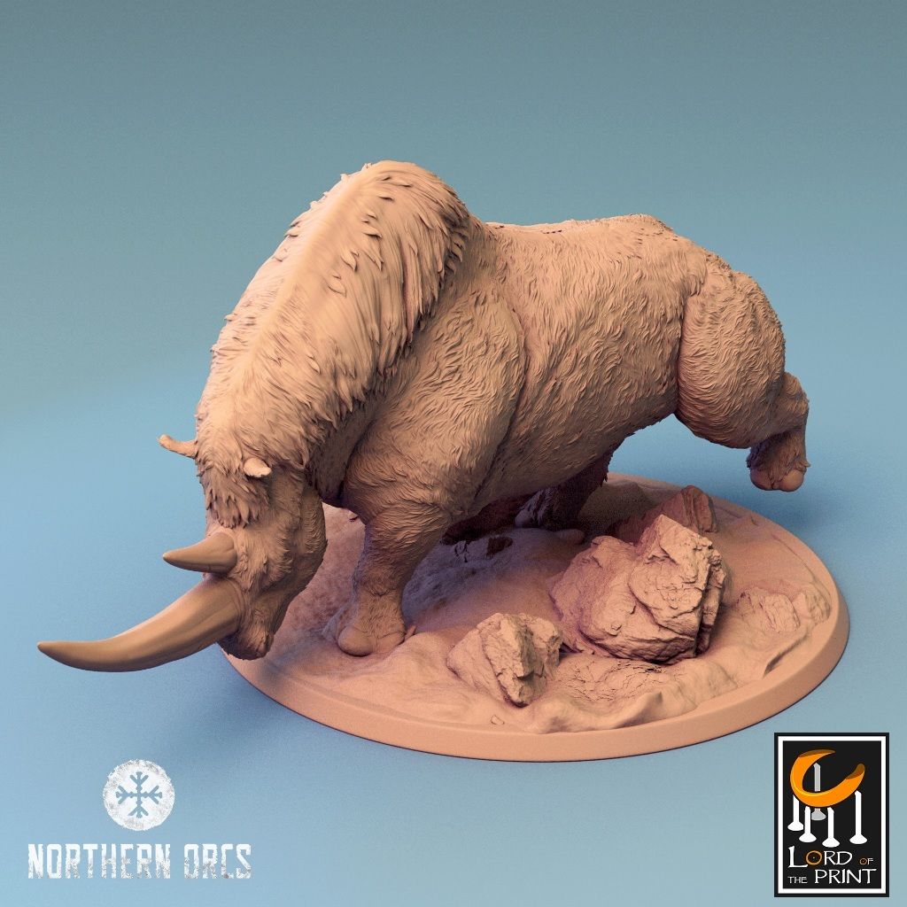 tw-11134207-7r98o-lwno1xted2y8c3