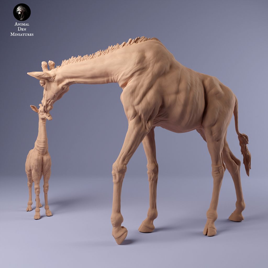 tw-11134207-7r98x-lxyq94ng3tba6b