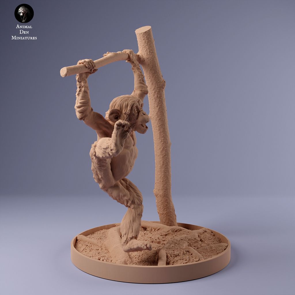 tw-11134207-7r98y-lxyq6oqys2069c