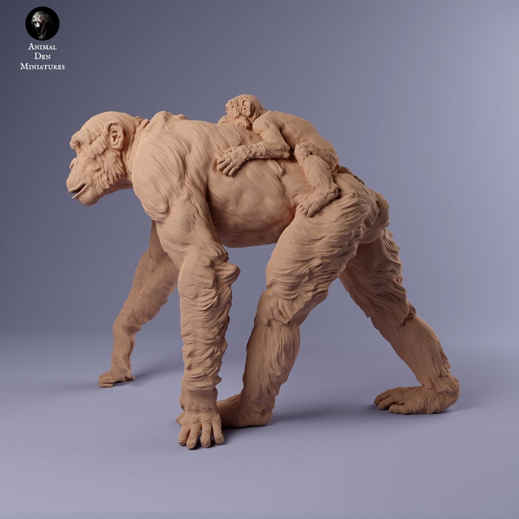 tw-11134207-7r98q-lxyq5l8ole7a43