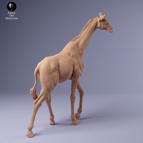 tw-11134207-7r98s-lxyqa2n2d6wgf9