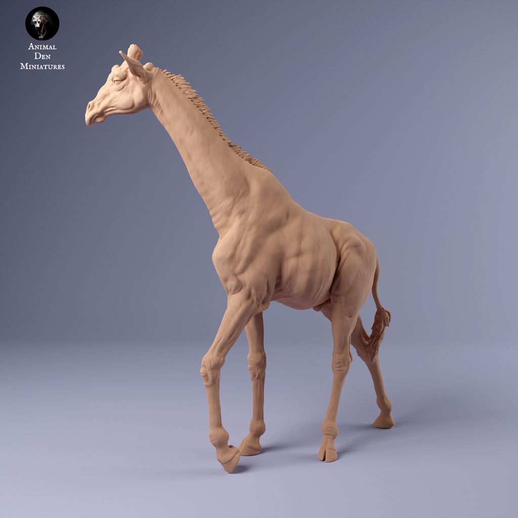 tw-11134207-7r991-lxyqa2n2elgw88