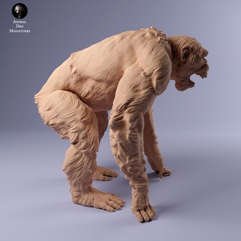 tw-11134207-7r98z-lxyqg87c4w1231